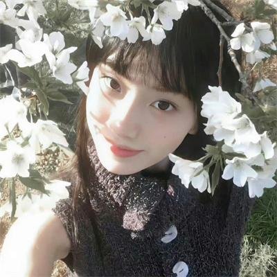 荒野上的光